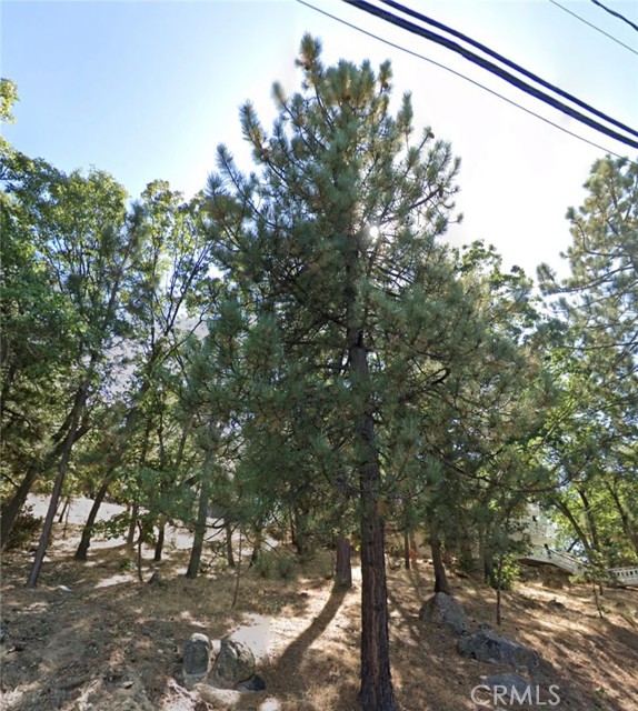 1411 Yosemite, Lake Arrowhead, CA, 92352 1411 Yosemite, Lake Arrowhead, CA, 92352