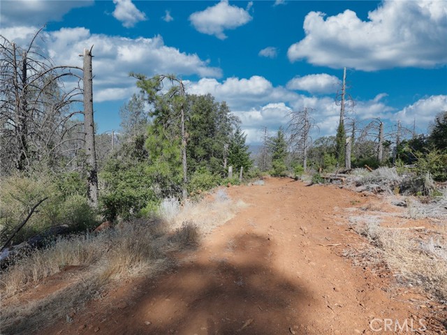 Detail Gallery Image 55 of 65 For 16864 Hofacker Ln, Lower Lake,  CA 95457 - 3 Beds | 2 Baths