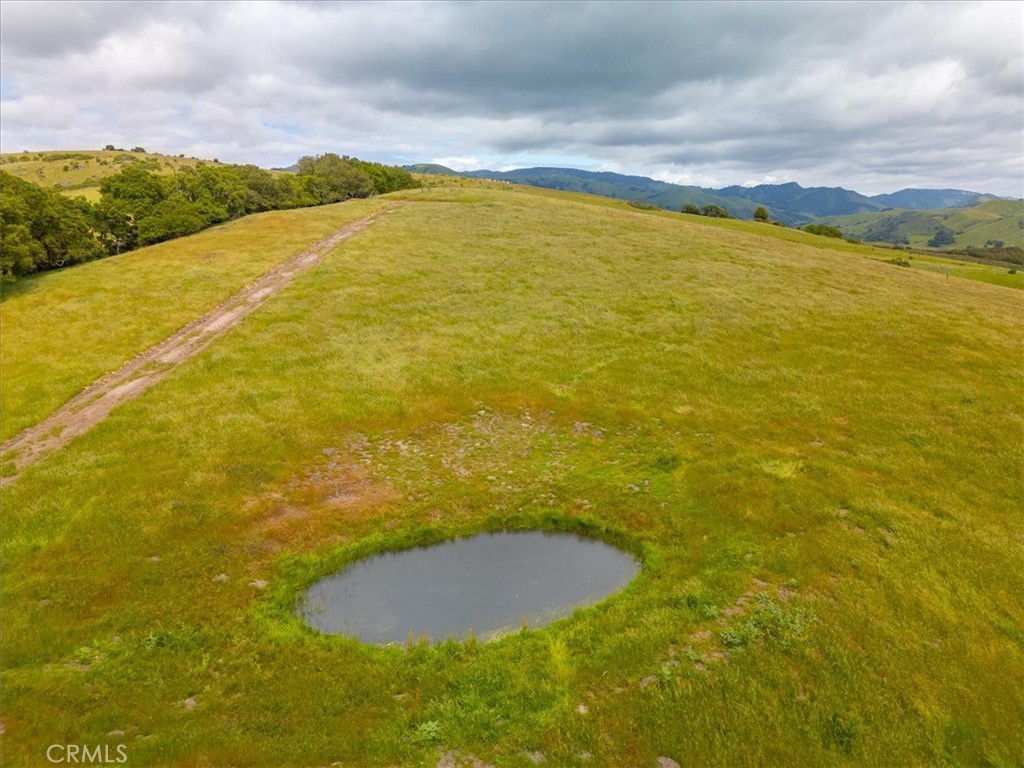 MLS #PI25041316 image #20