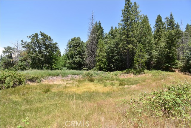 Detail Gallery Image 10 of 43 For 11605 La Porte Rd, Clipper Mills,  CA 95925 - 3 Beds | 2/1 Baths