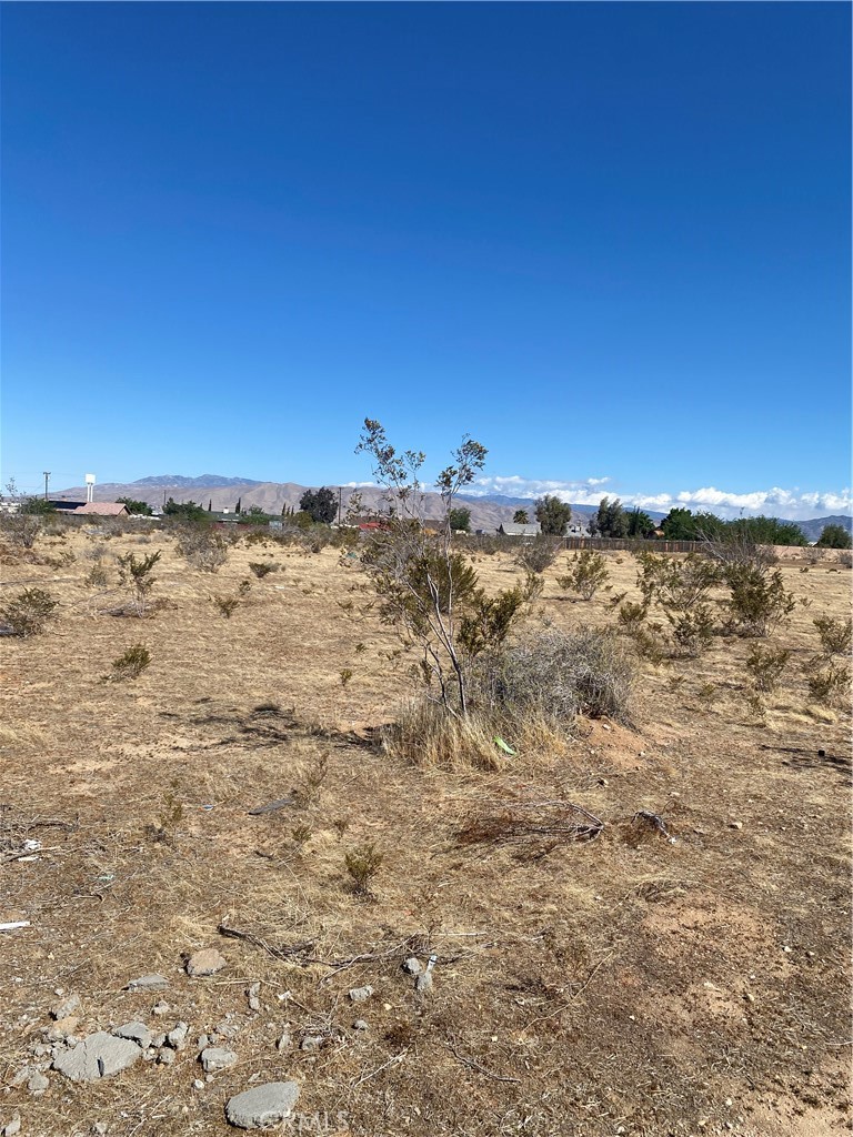 MLS #HD25102304 img 2