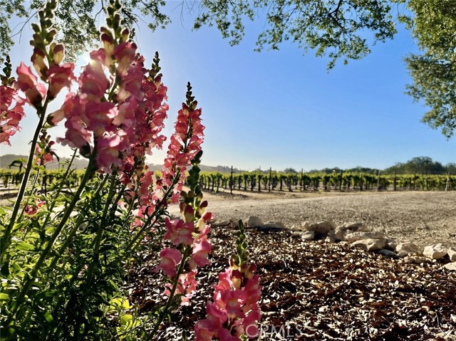 53600 Bradley Lockwood Road, Lockwood CA: https://media.crmls.org/medias/56e97a5b-0cc5-4cf0-a8a5-54c225b5b4c5.jpg