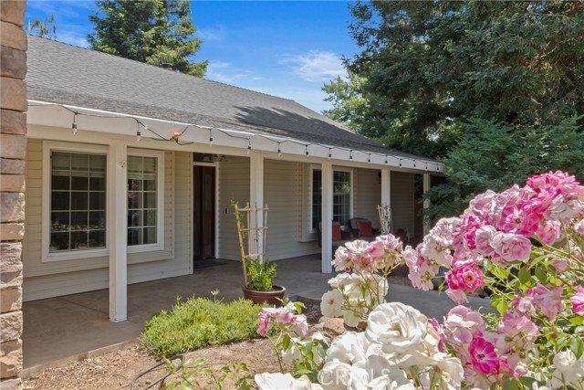 9508 Lott Road, Durham CA: https://media.crmls.org/medias/56f5252b-d70b-4d00-b0c2-337e9865f1ee.jpg