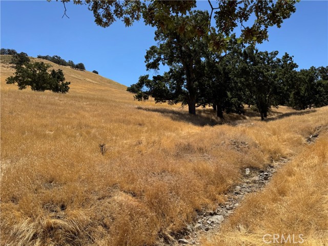 Detail Gallery Image 12 of 17 For 0 Arosa Rd, Tehachapi,  CA 93561 - – Beds | – Baths