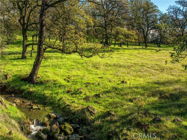 Detail Gallery Image 8 of 16 For 0 Grindstone, Chico,  CA 95973 - – Beds | – Baths
