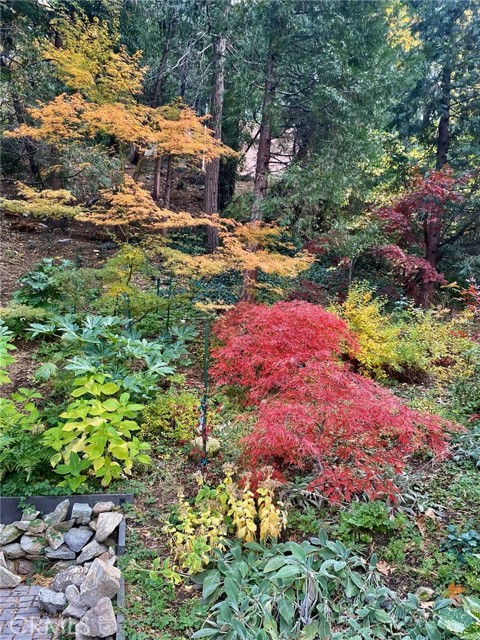 Detail Gallery Image 51 of 56 For 23280 Brookside Rd, Crestline,  CA 92325 - 3 Beds | 3/1 Baths