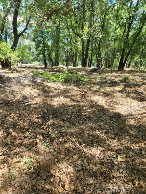 3059 Riviera Heights Drive, Kelseyville CA: https://media.crmls.org/medias/57058cbd-be41-4605-ae23-adde3f8ca613.jpg