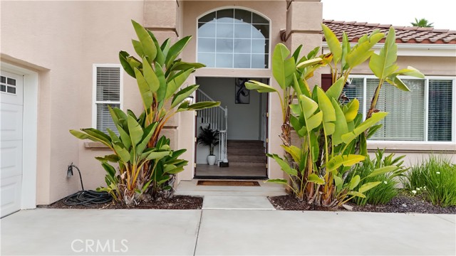Detail Gallery Image 10 of 50 For 1732 Gamble Ln, Escondido,  CA 92029 - 4 Beds | 3 Baths