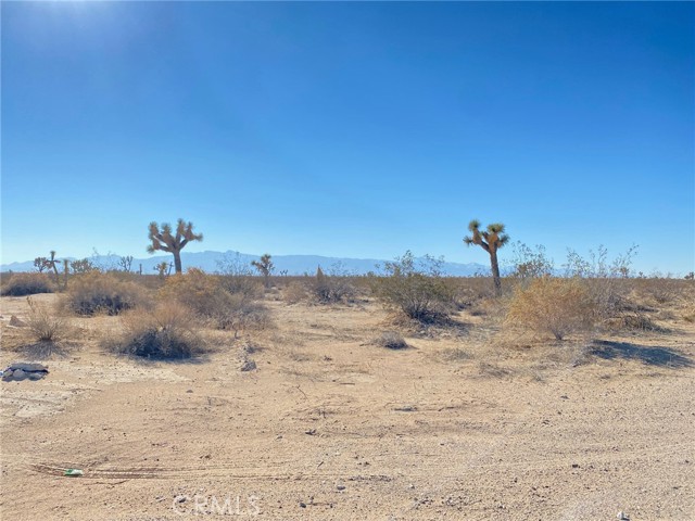 Detail Gallery Image 8 of 11 For 0 Cassia Rd, Adelanto,  CA 92301 - – Beds | – Baths