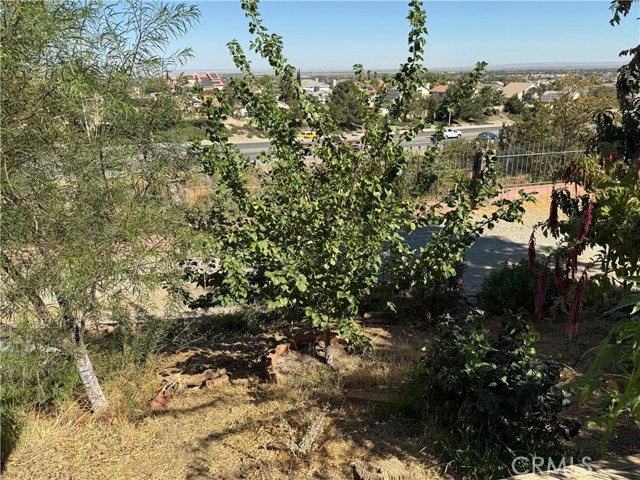 Detail Gallery Image 23 of 31 For 36326 32nd St, Palmdale,  CA 93550 - 4 Beds | 3 Baths