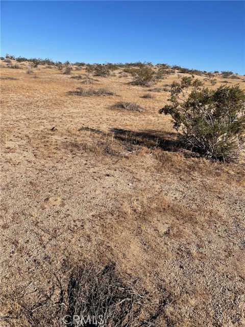 Front Image Thumbnail for CRPW25245244