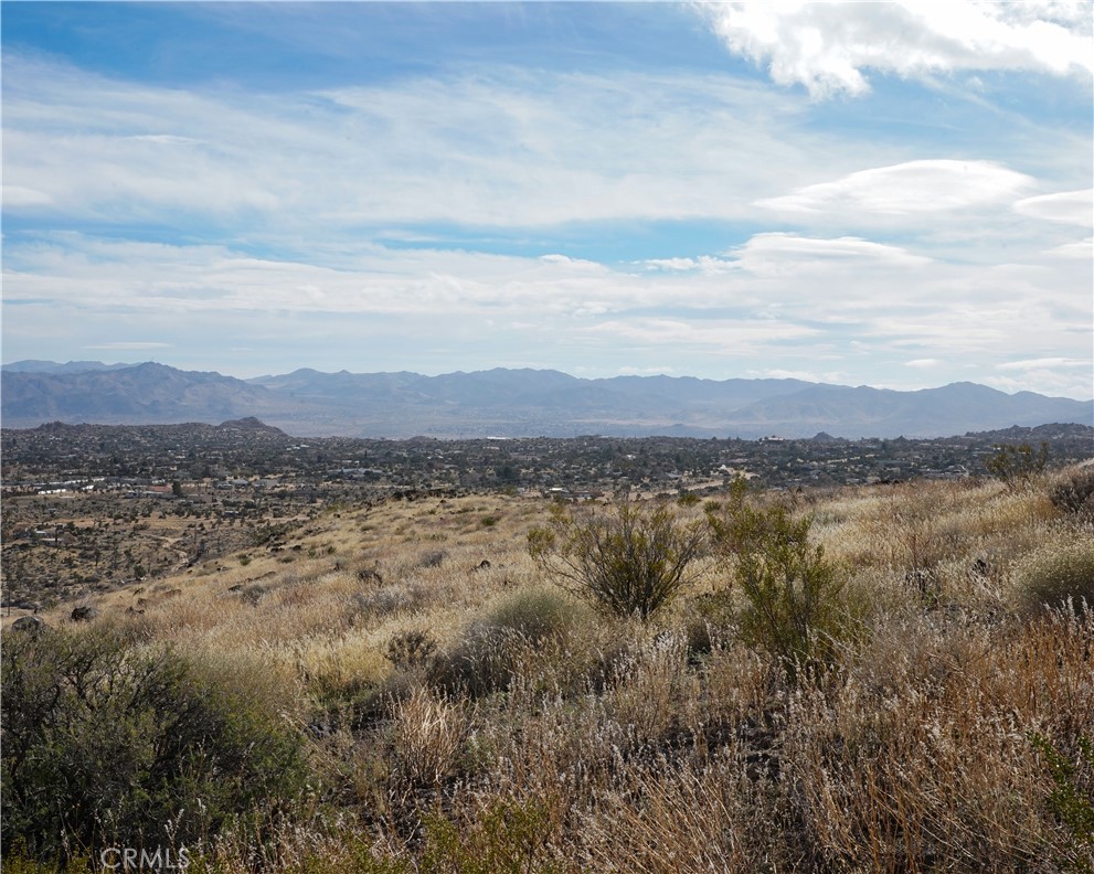 MLS #JT25189473 image #52