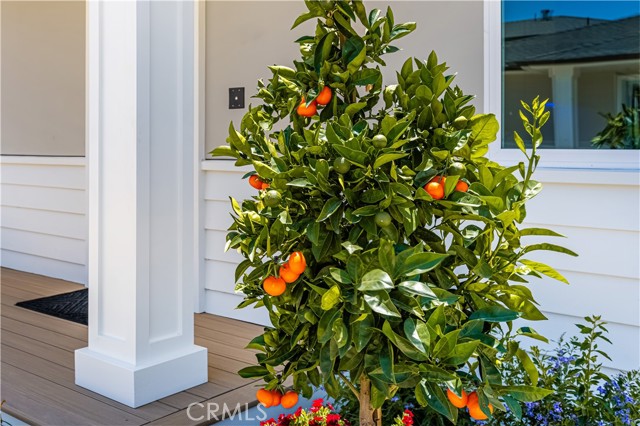 2134 Orange Avenue, Costa Mesa CA: https://media.crmls.org/medias/5714d7d8-6e28-4b81-928f-8d9f141998ab.jpg