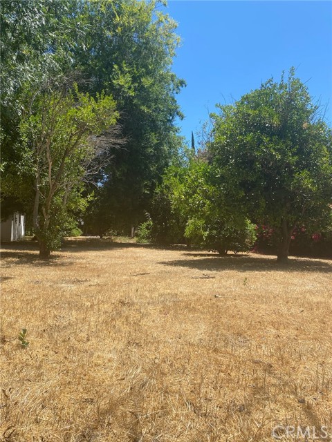 7110 Firmament Avenue, Van Nuys CA: https://media.crmls.org/medias/571c4a62-afd2-4468-acac-f1a2b55db805.jpg