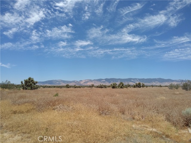 0 Ave A & 243rd St West, Rosamond, California 93560, ,Land,For Sale,0 Ave A & 243rd St West,CRSR23203513