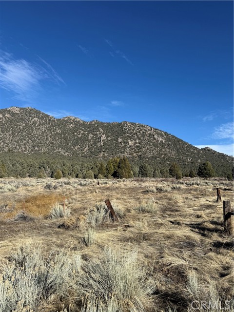 Detail Gallery Image 4 of 10 For 0 310-190-028 Sacatar Ranch Rd, –,  CA 93527 - – Beds | – Baths