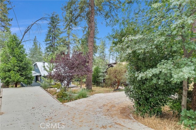 Detail Gallery Image 33 of 40 For 54445 Live Oak Dr, Idyllwild,  CA 92549 - 2 Beds | 1 Baths