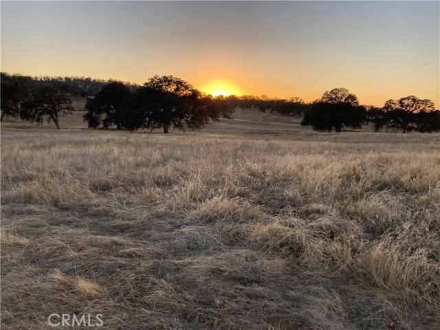 Detail Gallery Image 20 of 23 For 2187 Tinkers Penny, Catheys Valley,  CA 95306 - – Beds | – Baths