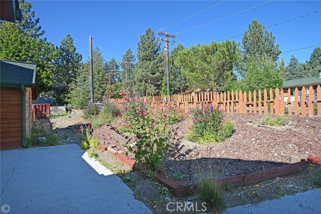 front yard