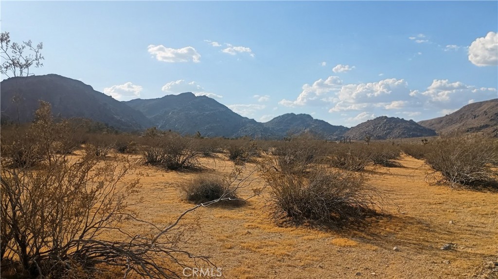 MLS #HD26153564 image #3