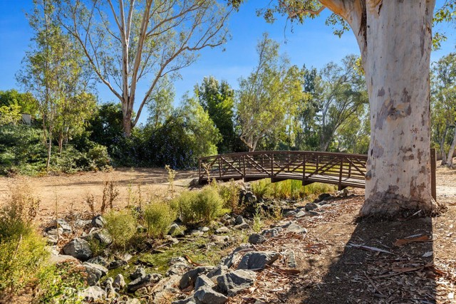 Walking Trail