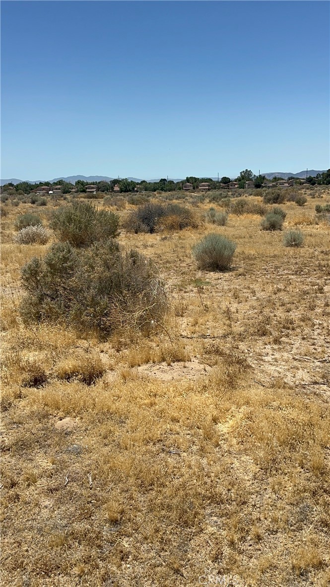 MLS #SR26132946 image #5