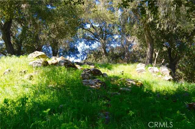 8255 Graves Creek Road