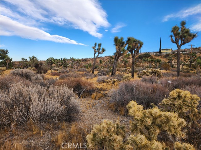 Detail Gallery Image 2 of 13 For 164 Lot Joshua Ln, Yucca Valley,  CA 92284 - – Beds | – Baths