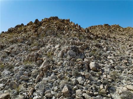 MLS #JT25262958 image #5