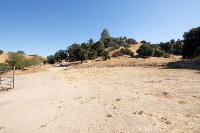 Arena site
