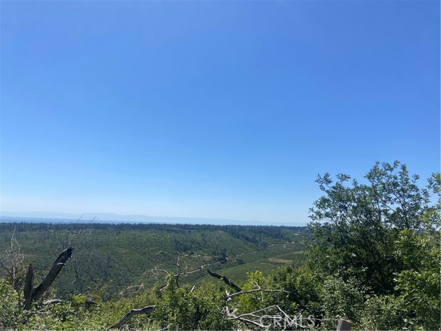 Detail Gallery Image 3 of 7 For 3510 Stone Mountain Rd, Oroville,  CA 95965 - – Beds | – Baths