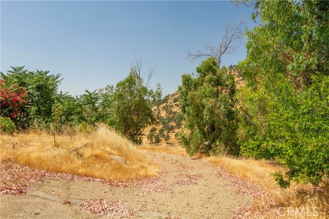 35032 George Smith Road, Squaw Valley CA: https://media.crmls.org/medias/574ae1b5-b924-4043-972e-554b9b161959.jpg