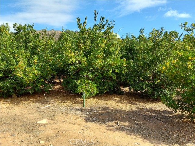 Detail Gallery Image 10 of 38 For 3 via Vaquero, Temecula,  CA 92590 - – Beds | – Baths