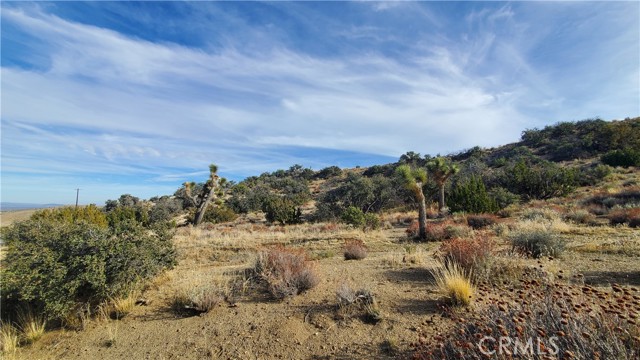 MLS #SR25242278 image #24