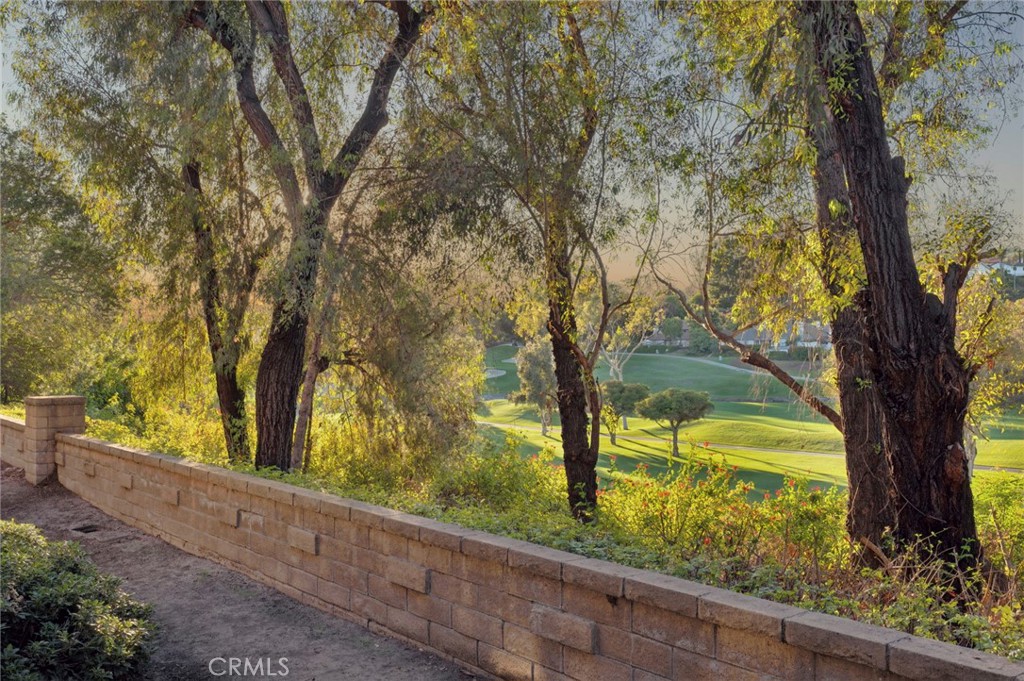 MLS #OC25243324 image #24