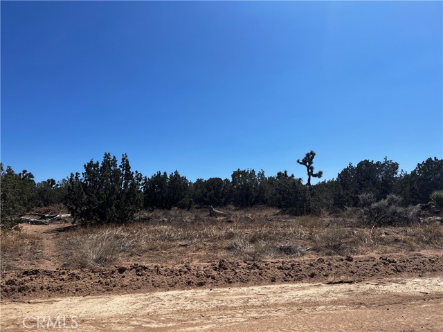0 Heartland, Hesperia, CA, 92345 0 Heartland, Hesperia, CA, 92345