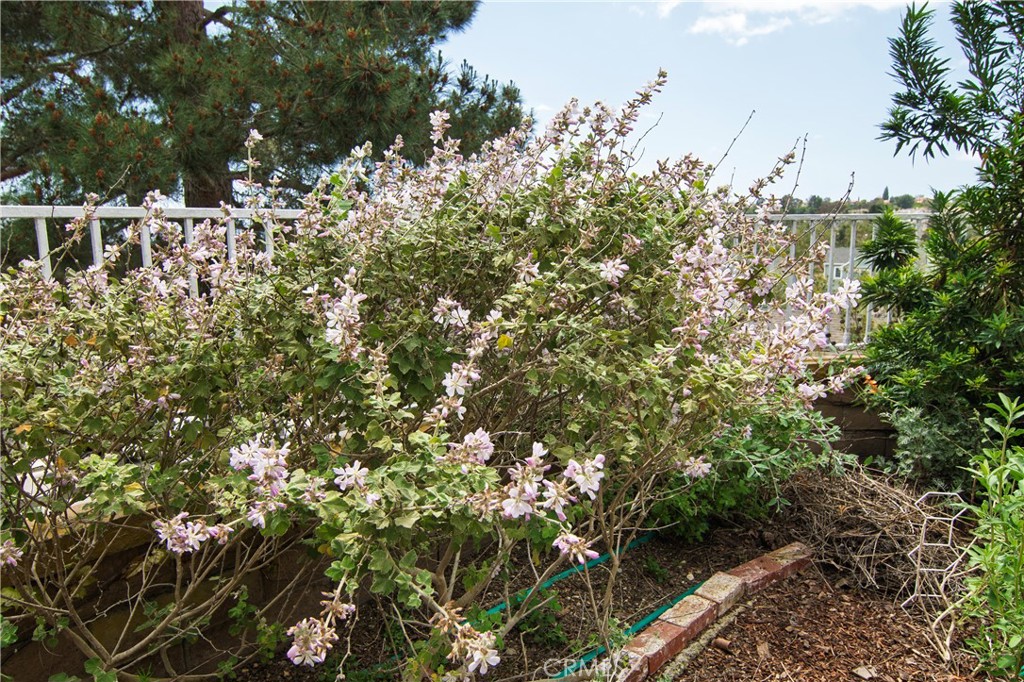 5750372e 8a3c 462b Affe Bfa0076e7742