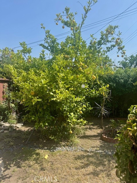 1711 S Washington Avenue, Glendora CA: https://media.crmls.org/medias/5751d29b-f210-4d62-971e-f2650354e6fb.jpg