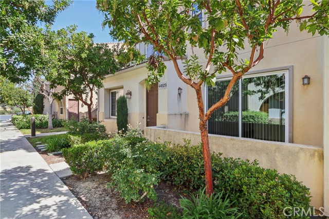 Detail Gallery Image 2 of 22 For 44929 Bellflower Ln, Temecula,  CA 92592 - 3 Beds | 2/1 Baths