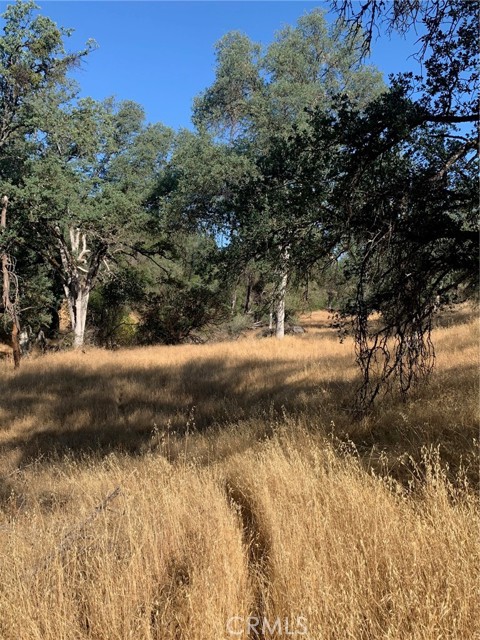 0 Blade Creek Road, Mariposa, California 95338, ,Land,For Sale,0 Blade Creek Road,CRMP23150380