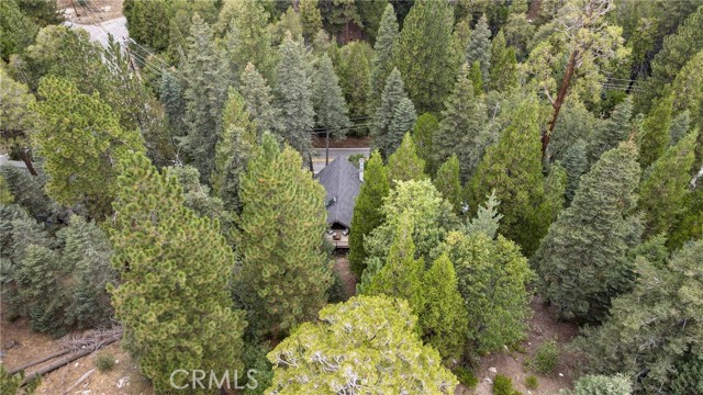 875 Brentwood Drive, Lake Arrowhead CA: https://media.crmls.org/medias/57686135-36d2-4f0b-9904-91ec8ba21af6.jpg
