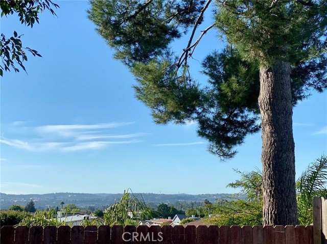 Front Image Thumbnail for CRLG25230222