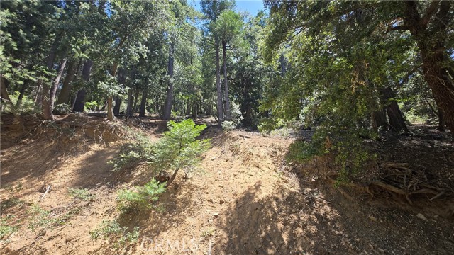0 Mojave River Road, Cedarpines Park CA: https://media.crmls.org/medias/577e568d-d071-43db-9218-3e2d7945b6c9.jpg