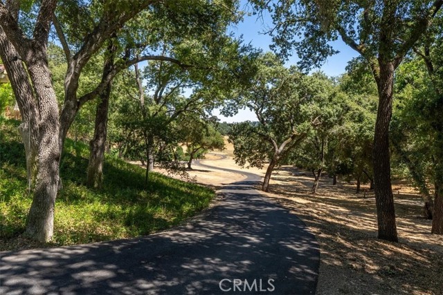 Detail Gallery Image 57 of 70 For 2725 Oak View Rd, Templeton,  CA 93465 - 5 Beds | 3/1 Baths