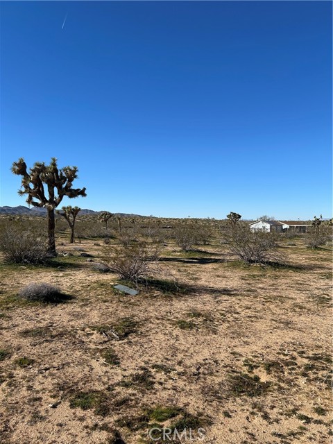 Detail Gallery Image 2 of 4 For 326 Surrey, Landers,  CA 92285 - – Beds | – Baths