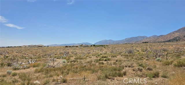 Front Image Thumbnail for CRSR26113203