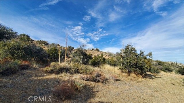 MLS #SR25242278 image #33