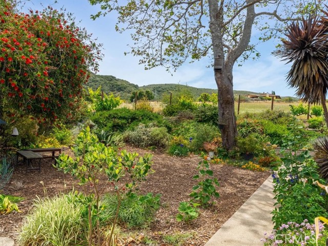 1750 La Luna Court, San Luis Obispo CA: https://media.crmls.org/medias/5795146f-5425-49e5-8f1b-d022d5c920a2.jpg