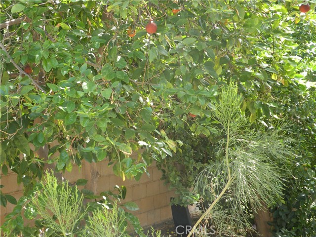 Detail Gallery Image 24 of 25 For 31810 Avenida La Gaviota, Cathedral City,  CA 92234 - 3 Beds | 2 Baths