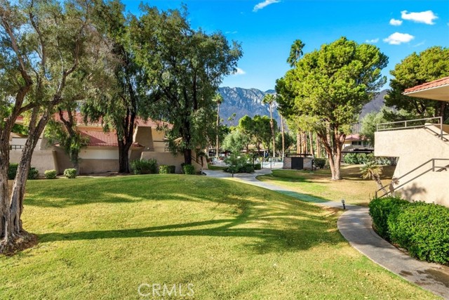 Detail Gallery Image 10 of 14 For 2801 N Los Felices Cir #209,  Palm Springs,  CA 92262 - 1 Beds | 1 Baths